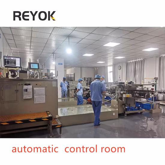 Automatische Kupfer-/Nickel-/Chrom-Galvanisierungslinie