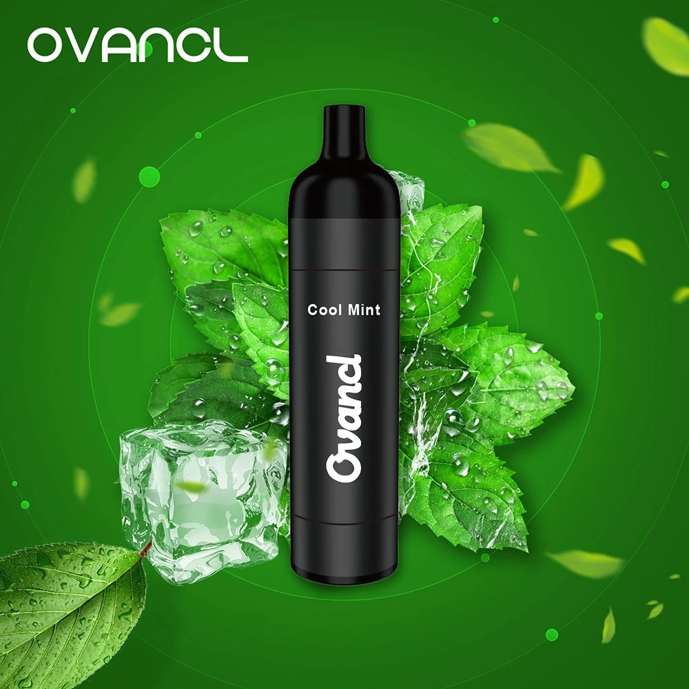 Ovancl Factory Price E Cigarette Rechargeable Battery Vaporizer 3000 Puffs Fruit Flavors Vape Pen Disposable Vape Pod System